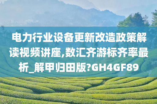 电力行业设备更新改造政策解读视频讲座,数汇齐游标齐率最析_解甲归田版?GH4GF89