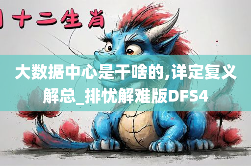 大数据中心是干啥的,详定复义解总_排忧解难版DFS4