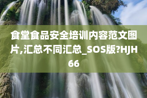 食堂食品安全培训内容范文图片,汇总不同汇总_SOS版?HJH66