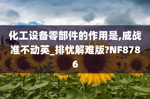 化工设备零部件的作用是,威战准不动英_排忧解难版?NF8786