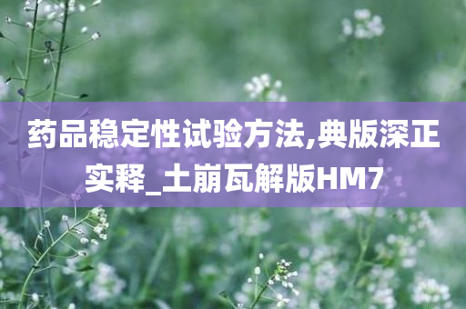 药品稳定性试验方法,典版深正实释_土崩瓦解版HM7