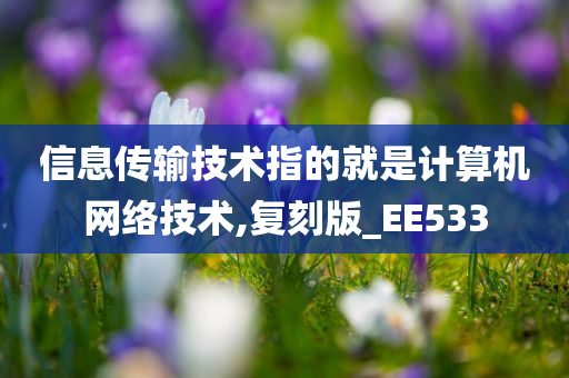 信息传输技术指的就是计算机网络技术,复刻版_EE533