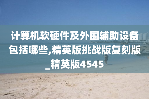 计算机软硬件及外围辅助设备包括哪些,精英版挑战版复刻版_精英版4545