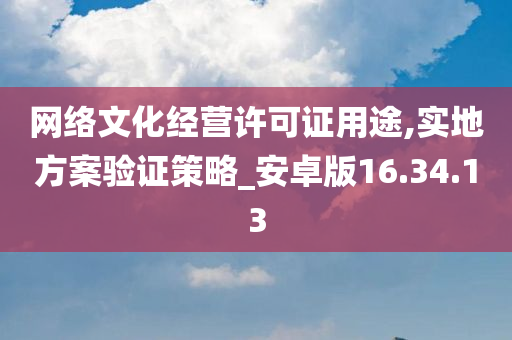 网络文化经营许可证用途,实地方案验证策略_安卓版16.34.13