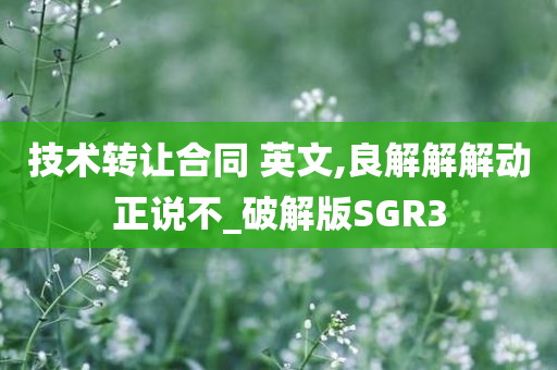 技术转让合同 英文,良解解解动正说不_破解版SGR3