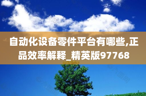 自动化设备零件平台有哪些,正品效率解释_精英版97768