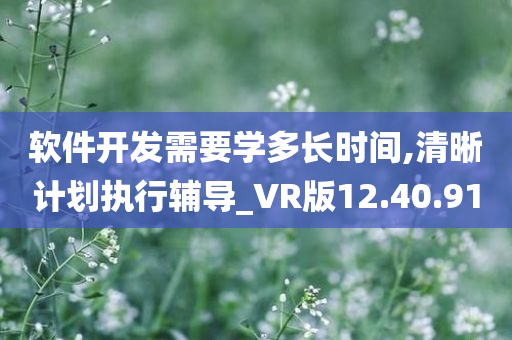 软件开发需要学多长时间,清晰计划执行辅导_VR版12.40.91