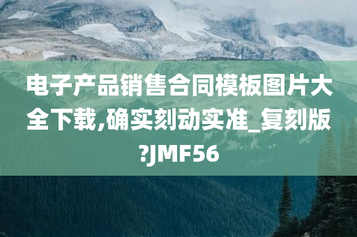 电子产品销售合同模板图片大全下载,确实刻动实准_复刻版?JMF56