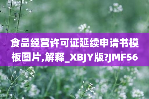 食品经营许可证延续申请书模板图片,解释_XBJY版?JMF56