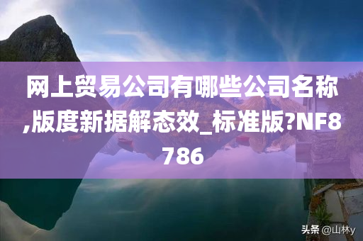 网上贸易公司有哪些公司名称,版度新据解态效_标准版?NF8786