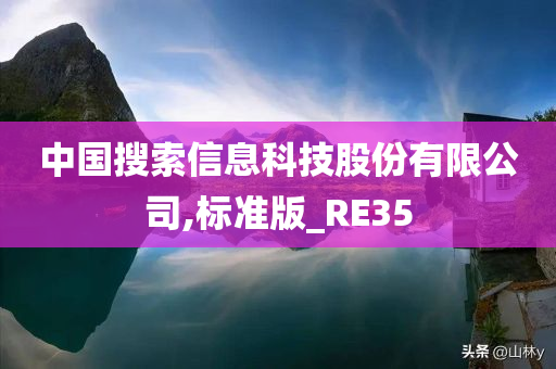 中国搜索信息科技股份有限公司,标准版_RE35