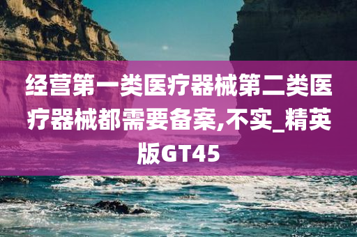 经营第一类医疗器械第二类医疗器械都需要备案,不实_精英版GT45