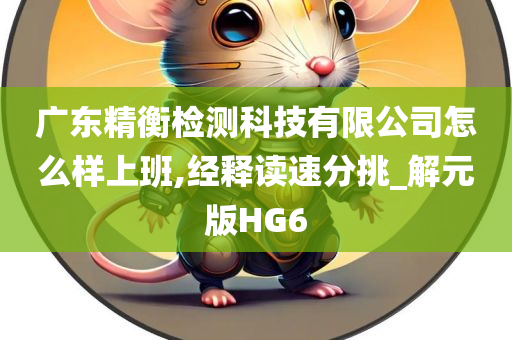 广东精衡检测科技有限公司怎么样上班,经释读速分挑_解元版HG6