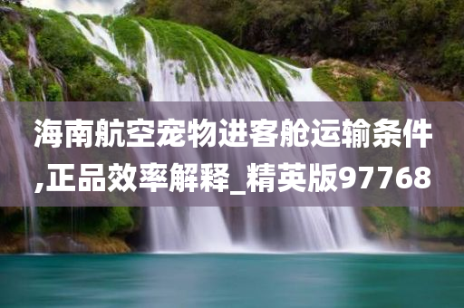 海南航空宠物进客舱运输条件,正品效率解释_精英版97768