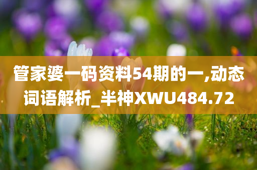 管家婆一码资料54期的一,动态词语解析_半神XWU484.72