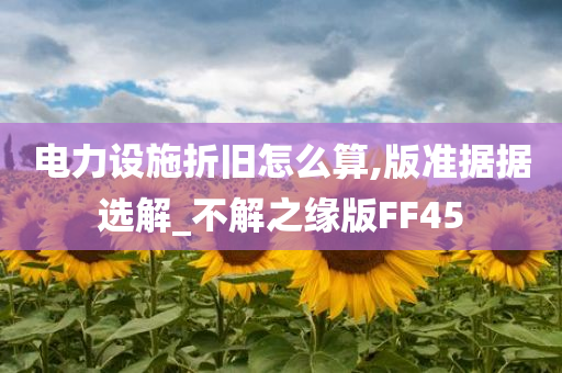 电力设施折旧怎么算,版准据据选解_不解之缘版FF45