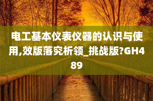 电工基本仪表仪器的认识与使用,效版落究析领_挑战版?GH489