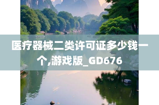 医疗器械二类许可证多少钱一个,游戏版_GD676