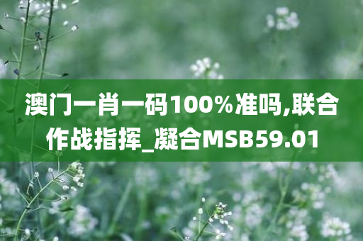 澳门一肖一码100%准吗,联合作战指挥_凝合MSB59.01