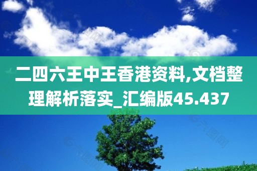 二四六王中王香港资料,文档整理解析落实_汇编版45.437