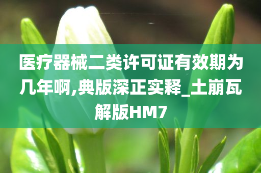 医疗器械二类许可证有效期为几年啊,典版深正实释_土崩瓦解版HM7