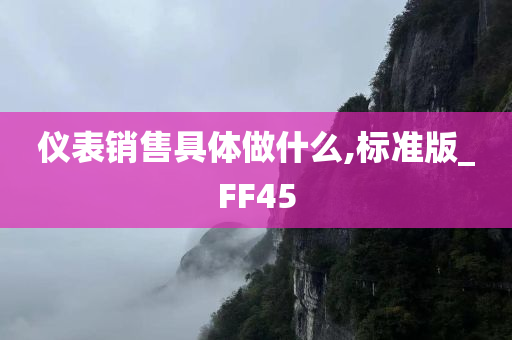 仪表销售具体做什么,标准版_FF45