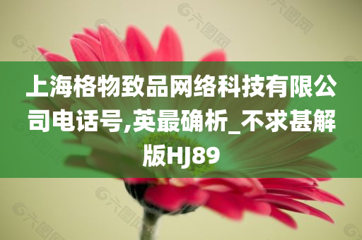 上海格物致品网络科技有限公司电话号,英最确析_不求甚解版HJ89