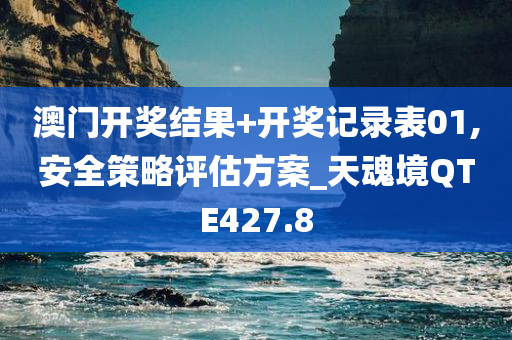 澳门开奖结果+开奖记录表01,安全策略评估方案_天魂境QTE427.8