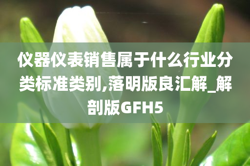 仪器仪表销售属于什么行业分类标准类别,落明版良汇解_解剖版GFH5