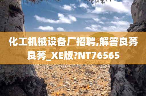 化工机械设备厂招聘,解答良莠良莠_XE版?NT76565