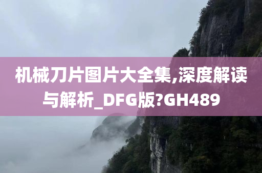 机械刀片图片大全集,深度解读与解析_DFG版?GH489