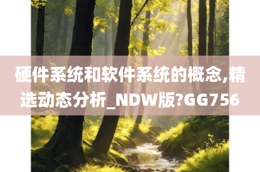 硬件系统和软件系统的概念,精选动态分析_NDW版?GG756