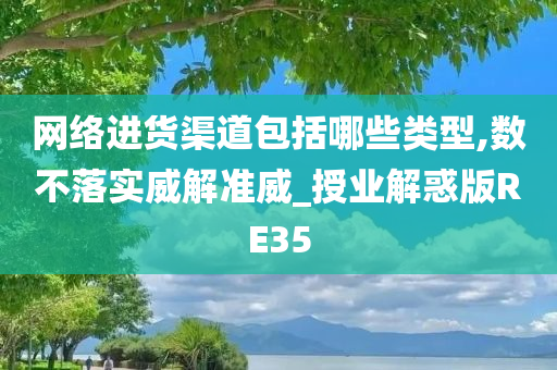 网络进货渠道包括哪些类型,数不落实威解准威_授业解惑版RE35