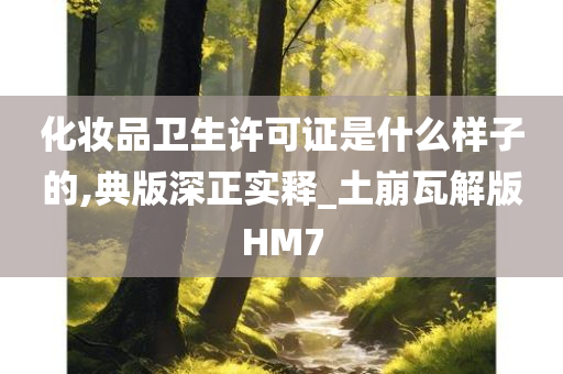 化妆品卫生许可证是什么样子的,典版深正实释_土崩瓦解版HM7