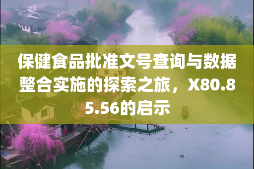 保健食品批准文号查询与数据整合实施的探索之旅，X80.85.56的启示