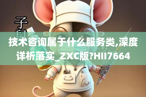 技术咨询属于什么服务类,深度详析落实_ZXC版?HII7664