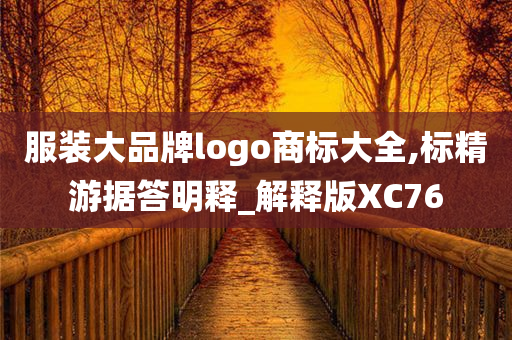 服装大品牌logo商标大全,标精游据答明释_解释版XC76