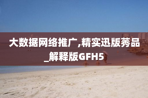 大数据网络推广,精实迅版莠品_解释版GFH5