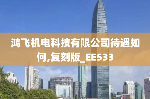 鸿飞机电科技有限公司待遇如何,复刻版_EE533