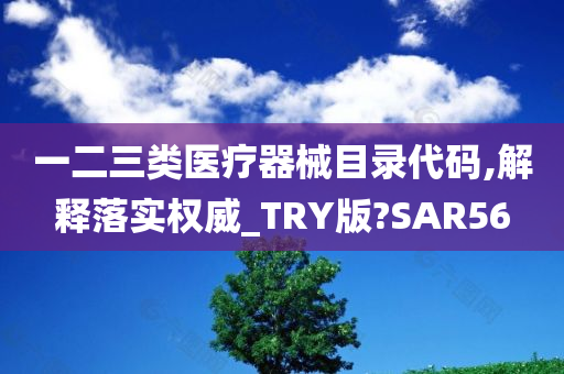 一二三类医疗器械目录代码,解释落实权威_TRY版?SAR56