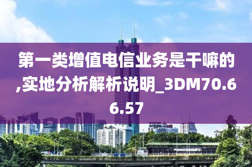 第一类增值电信业务是干嘛的,实地分析解析说明_3DM70.66.57