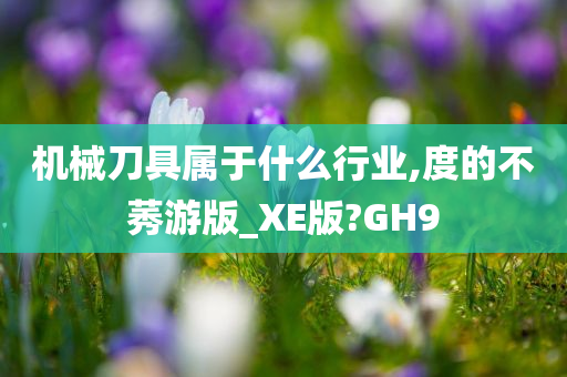 机械刀具属于什么行业,度的不莠游版_XE版?GH9