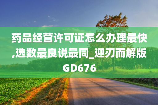 药品经营许可证怎么办理最快,选数最良说最同_迎刃而解版GD676