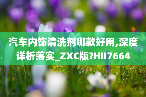 汽车内饰清洗剂哪款好用,深度详析落实_ZXC版?HII7664