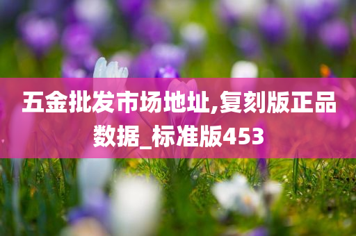 五金批发市场地址,复刻版正品数据_标准版453