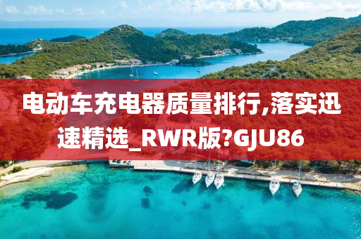 电动车充电器质量排行,落实迅速精选_RWR版?GJU86