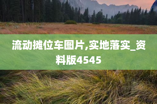 流动摊位车图片,实地落实_资料版4545