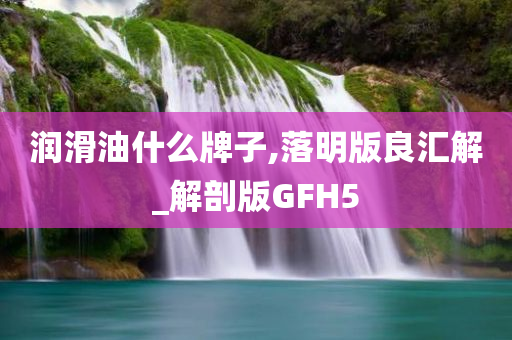 润滑油什么牌子,落明版良汇解_解剖版GFH5