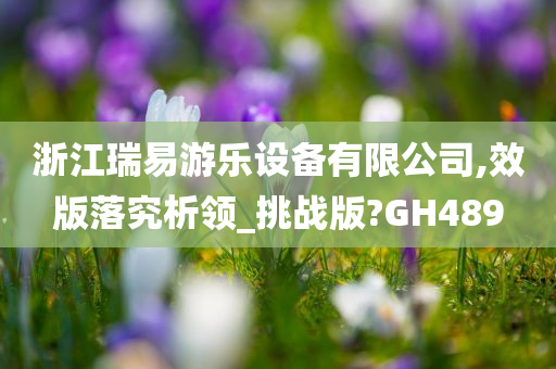 浙江瑞易游乐设备有限公司,效版落究析领_挑战版?GH489