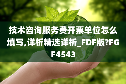 技术咨询服务费开票单位怎么填写,详析精选详析_FDF版?FGF4543